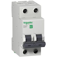 Schneider Electric EZ9F56220 2X20A 6kA C Serisi Otomatik Sigorta