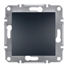 Schneider Electric EPH5600171 Asfora Plus Antrasit Kör Kapak