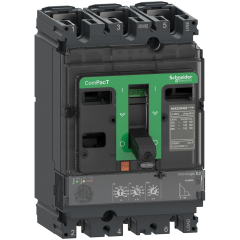 Schneider Electric C25F32D250 3X250A 36kA Termik Manyetik Şalter NSX250F Micrologic 2.2
