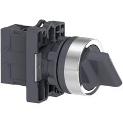 Schneider Electric XA2ED21 Mandallı Buton 0-1 1NA
