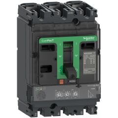 Schneider Electric C16N32D160 3X160A 50kA Termik Manyetik Şalter NSX160N MIC2.2